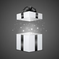 Gift box with a magic effect N8