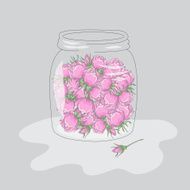 Roses in the jar