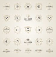 Set Luxury Logos template flourishes calligraphic N4