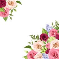 Background with colorful roses Vector illustration