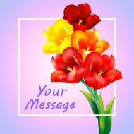 tulip flower design background N4