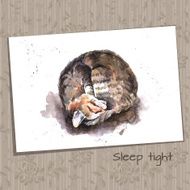 Watercolor Sketch of a Sleeping Home Cat