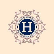 Vector illustration Luxury Monogram logo N11