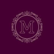 Vector illustration Luxury Monogram logo N28