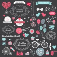 vector set of vintage hand drawn wedding design elements ribbons N2