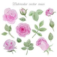 Watercolor roses elements set leaves and flowers N2