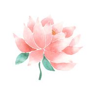 Vector watercolor lotus flower pink N2