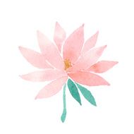 Vector watercolor lotus flower pink N3