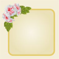 Golden frame with whites hibiscus vector N2