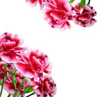 Floral Bouquet Carnation Greeting Card N2