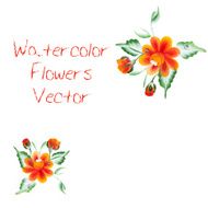 Watercolor vector flowers N9