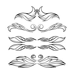 Vector calligraphy elements N2