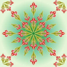 Summer pattern N32
