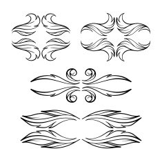 Vector calligraphy elements N4