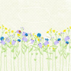 hand drawn background invitation wildflowers butterfly and ladybug
