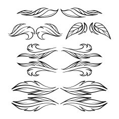 Vector calligraphy elements N5