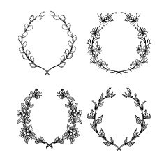 Hand-drawn vector illustration Floral collection of laurels