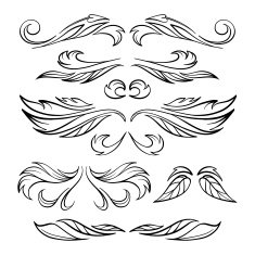Vector calligraphy elements N8