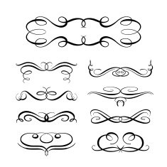 Vector calligraphy elements N10