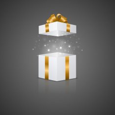 Gift box with a magic effect N14