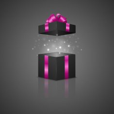 Gift box with a magic effect N24