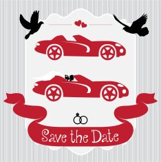 Vintage wedding frame with convertible and pigeons N2