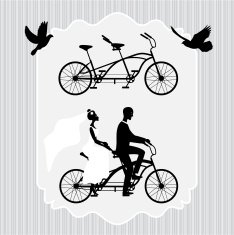 Vintage wedding frame with bicycle and pigeons N2