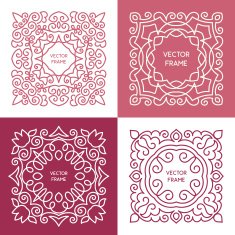 Vintage floral frame collection N6