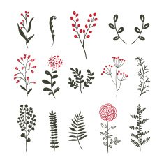 Plants and flowers vintage style hand drawn design nature elements