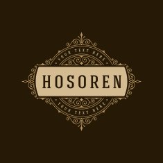 Retro Vintage Insignias or Logotypes set vector design elements N15
