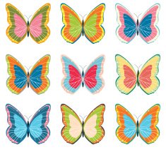Big collection of colorful butterflies N2