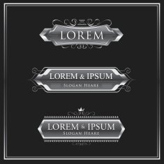 Silver logos calligraphic vector design template