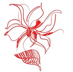 VECTOR Flower background for design with tulip N4