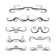 Vector calligraphy elements N12