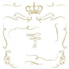 Ornate cartouche N2