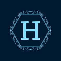Vector illustration Luxury Monogram logo N20