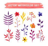 vector watercolor floral set N3