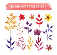 vector watercolor floral set N4