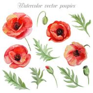 Vector set of red watercolor poppy flowers N2