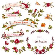 Romantic collection flowers wreaths laurels N2