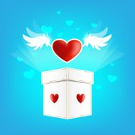 Beautiful heart on the wings of love with box N2