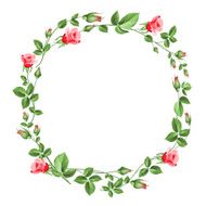 Rose wreath isolated on white N2