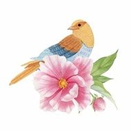 Bird on a pink flower