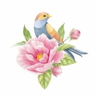 Bird on a flower