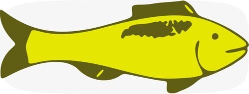 painted yellow salmon