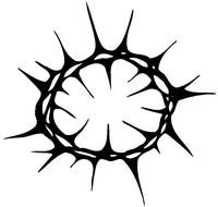 Religious Signs Popular Photography