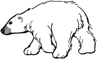 walking polar Bear, outline