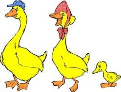 Drawing of Duck family