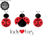 Spotted Ladybug Blue Funpictcom