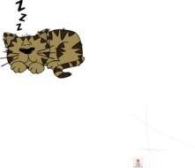 Sleeping cat N14